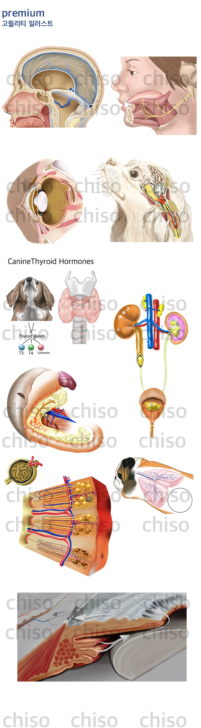 상세이미지-2