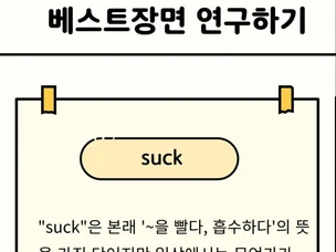 포트폴리오