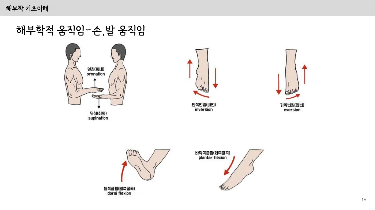 상세이미지-4
