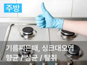 포트폴리오