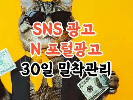 SNS광고, 광고 세팅 및 관리