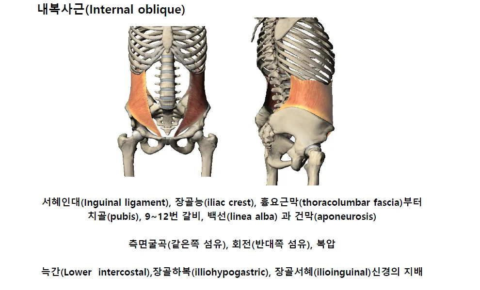 상세이미지-0