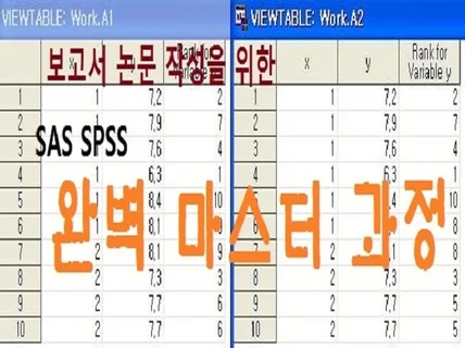 SAS SPSS 통계 완벽 마스터 해 드립니다.