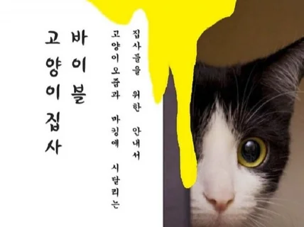고양이 오줌과 마킹을 해결하는 노하우를 알려 드립니다.