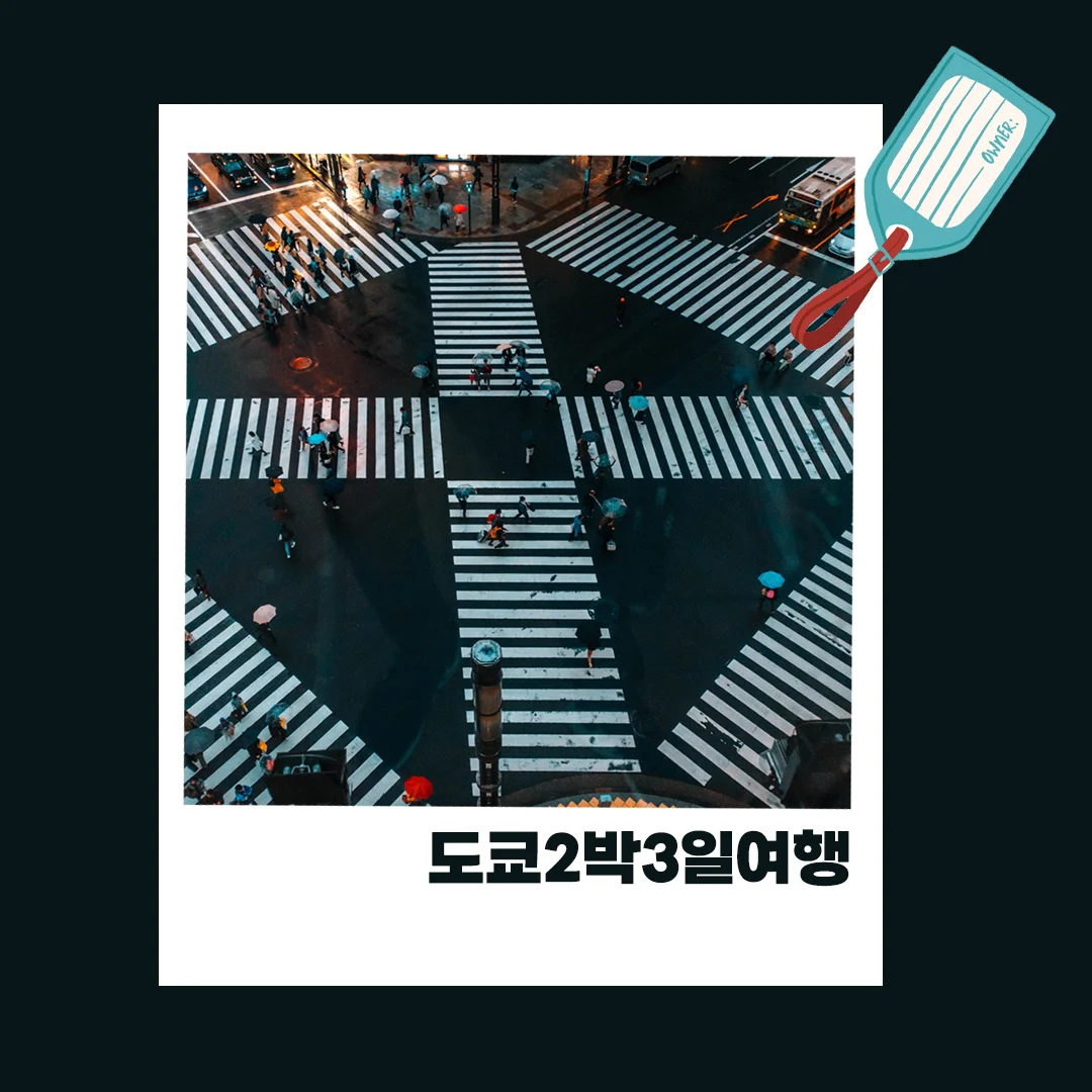 상세이미지-2