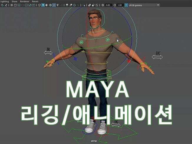 3D Maya 리깅, 애니메이션 작업해드립니다