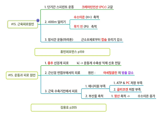 상세이미지-4