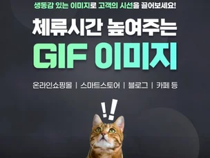 포트폴리오