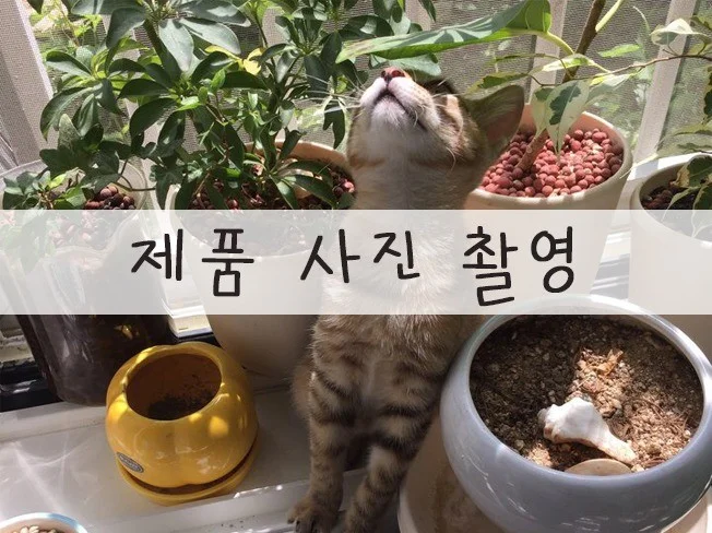 제품 사진 촬영 썸네일