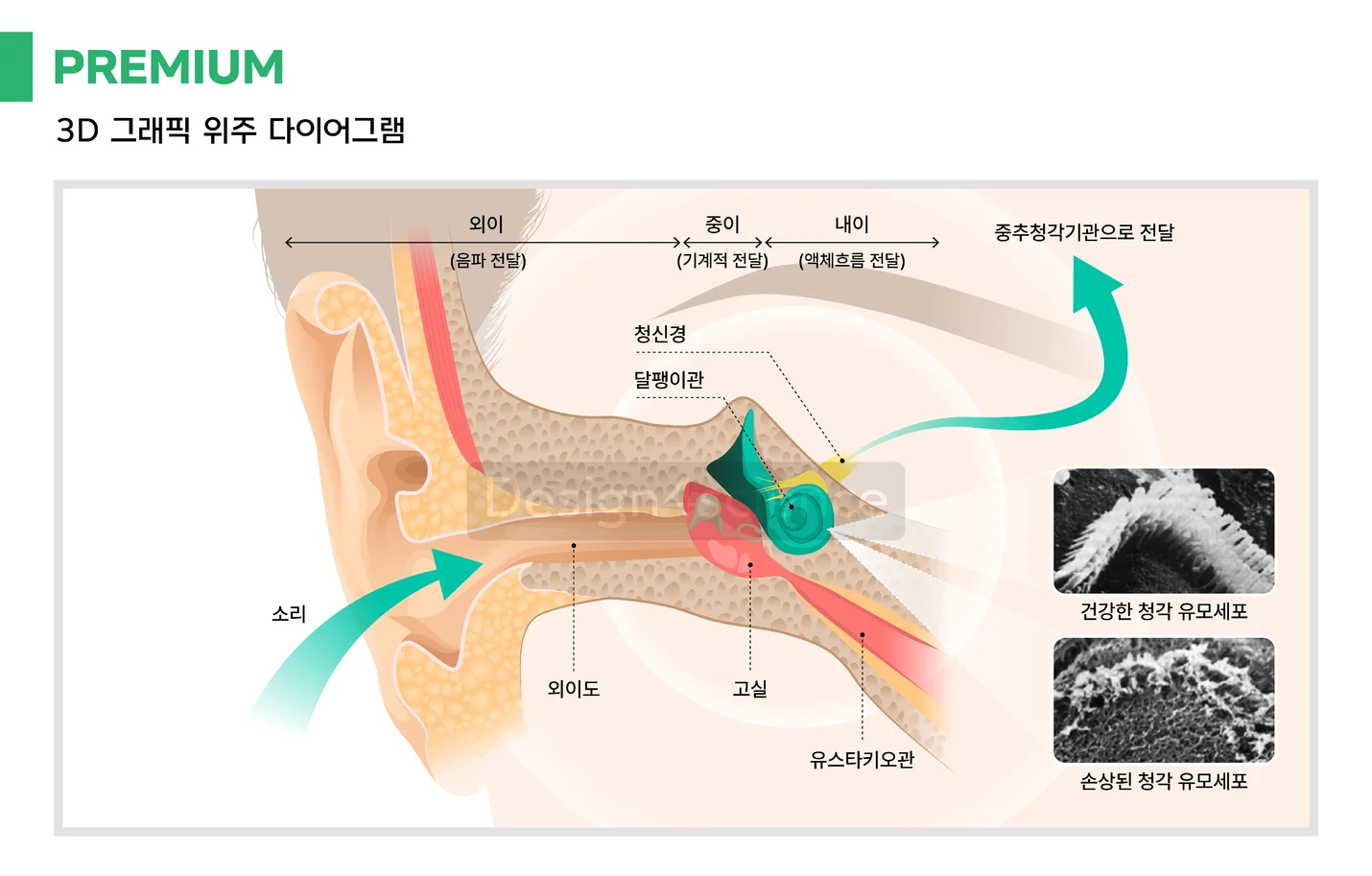 상세이미지-5