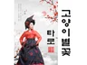 고양이별꽃 신점타로가 당신의 답답한 마음을 풀어드립니다