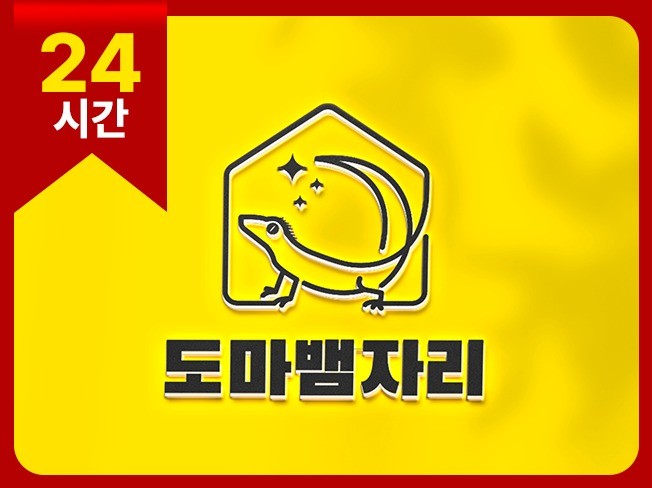 연관서비스