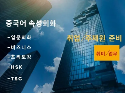 취업/주재원 준비 속성회화, 비즈니스 중국어