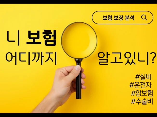 메인 이미지