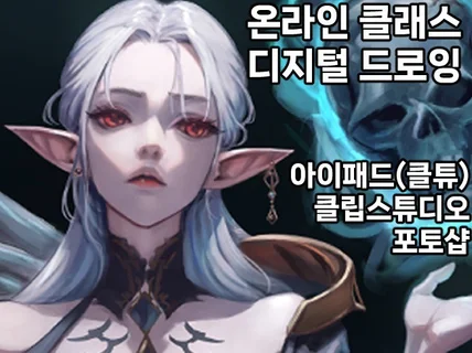 캐릭터 일러스트 레슨 / 아이패드,클튜,포토샵