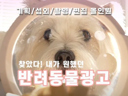 반려동물 홍보 영상만 10년, 촬영 섭외 편집 올인원