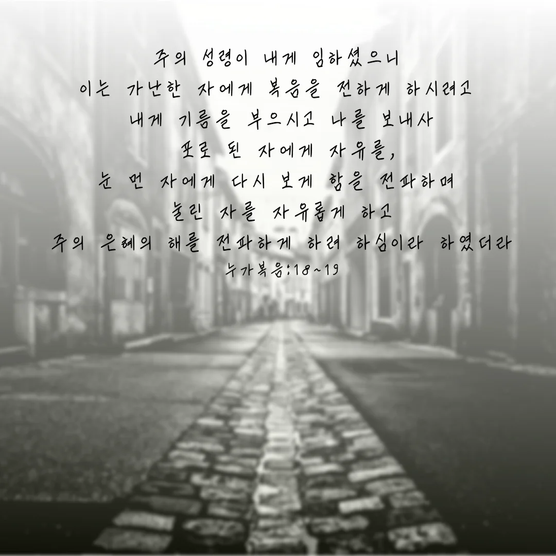 상세이미지-5