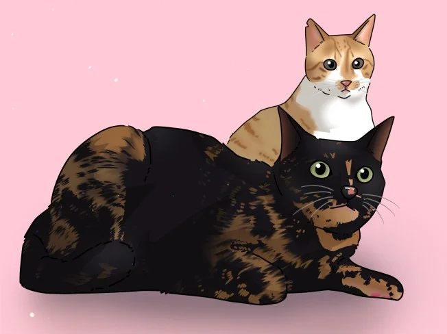 메인 이미지