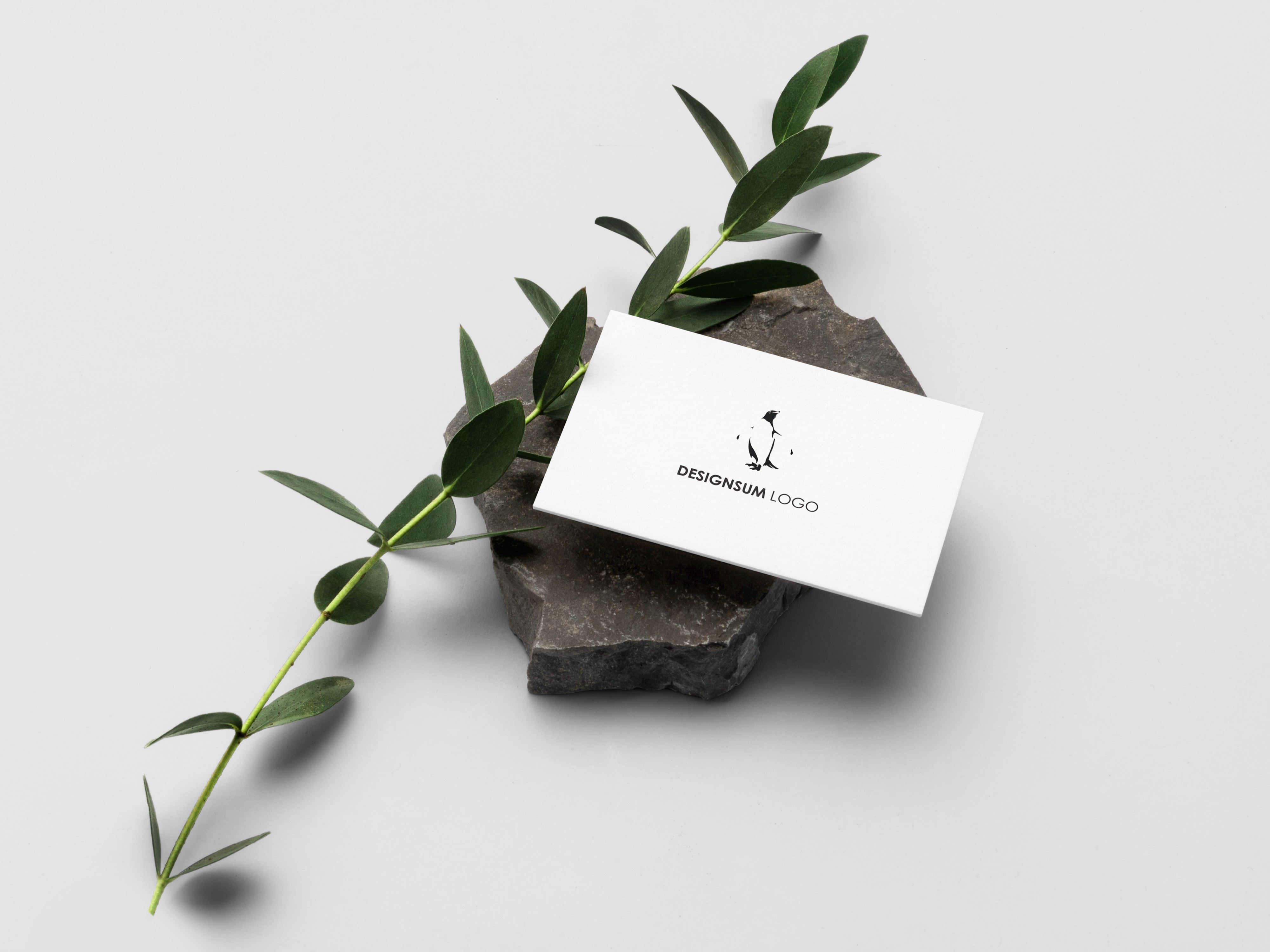 디자인 숨의 심플한 로고와 명함디자인의 특별한 만남