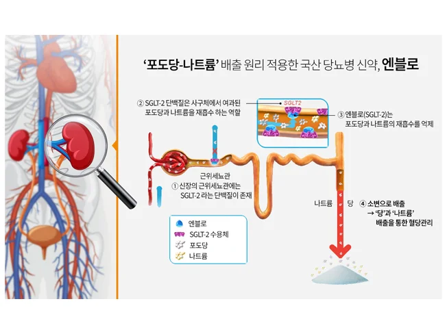 상세이미지-0