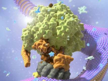 메디컬아트 전문가의 의과학 논문 포스터 그래픽 제작