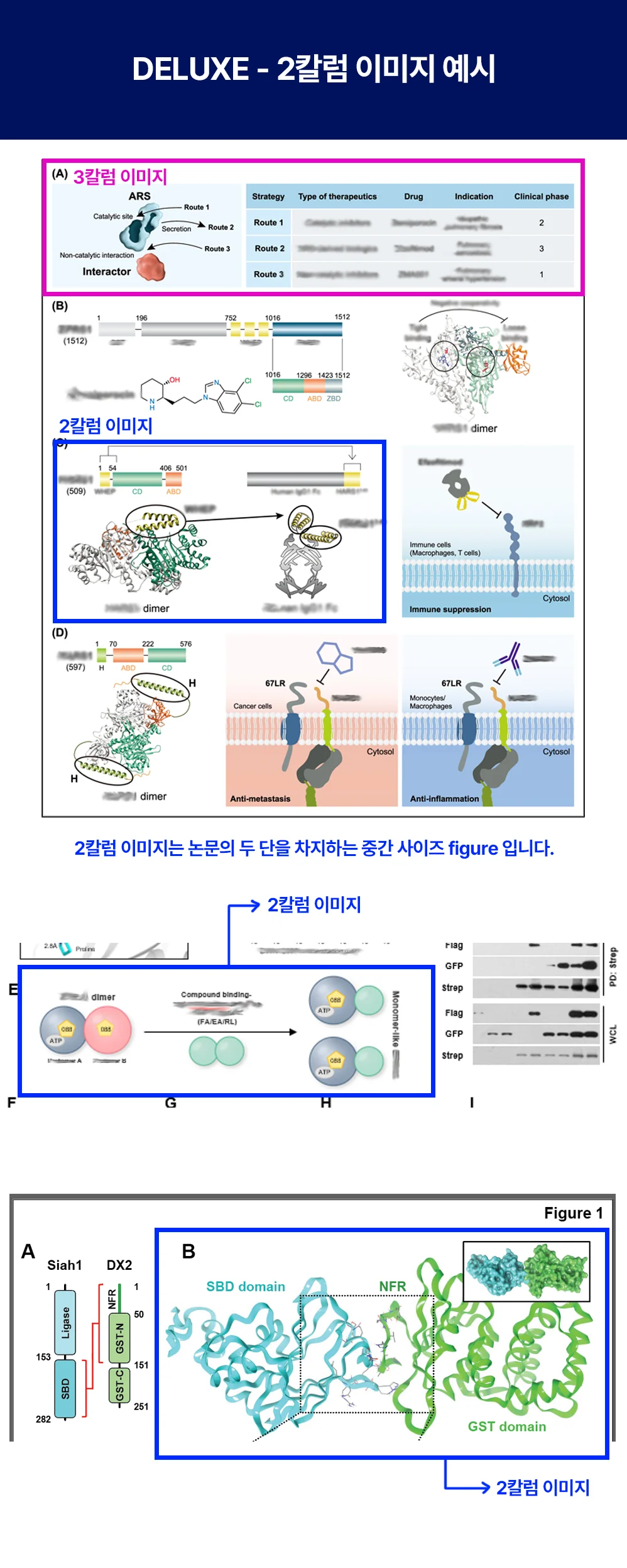 상세이미지-1