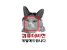 영상처리를 이용한 프로그램 개발해 드립니다.