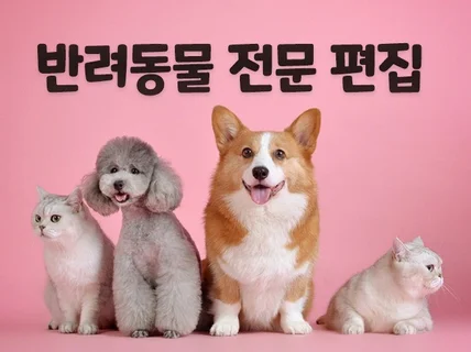 사랑스러운 반려견,반려묘, 반려동물 영상 편집