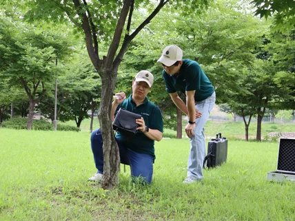 아파트 전문 프리미엄 수목진단 서비스