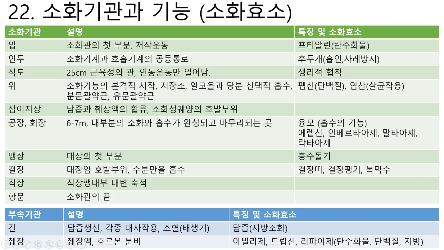 상세이미지-1