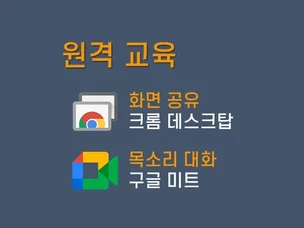 포트폴리오