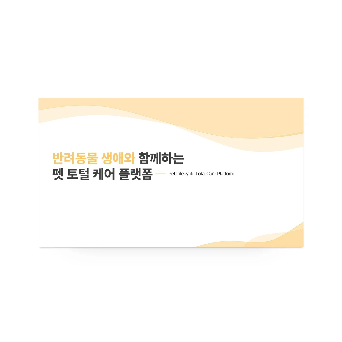 포트폴리오 메인이미지