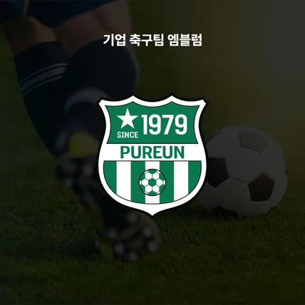 포트폴리오-기업 축구팀 '푸른 FC' 엠블럼 로고 디자인
