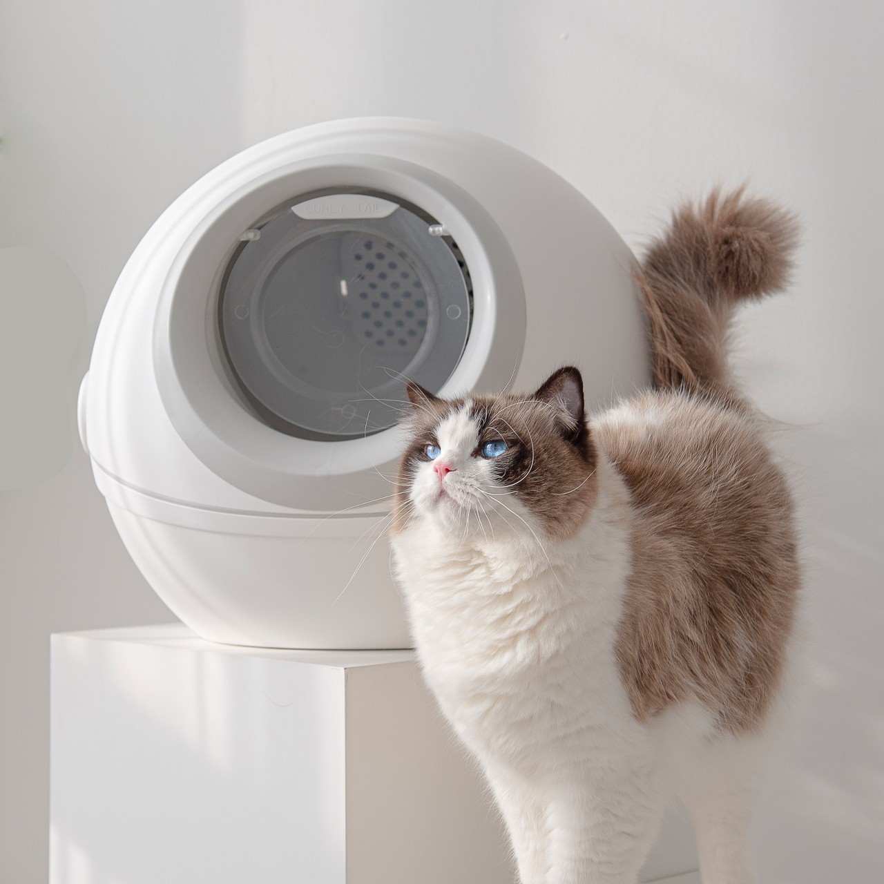 포트폴리오-우주선모양 고양이 제품 상세페이지 제작