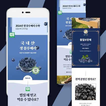 포트폴리오-생 블루베리 상세페이지