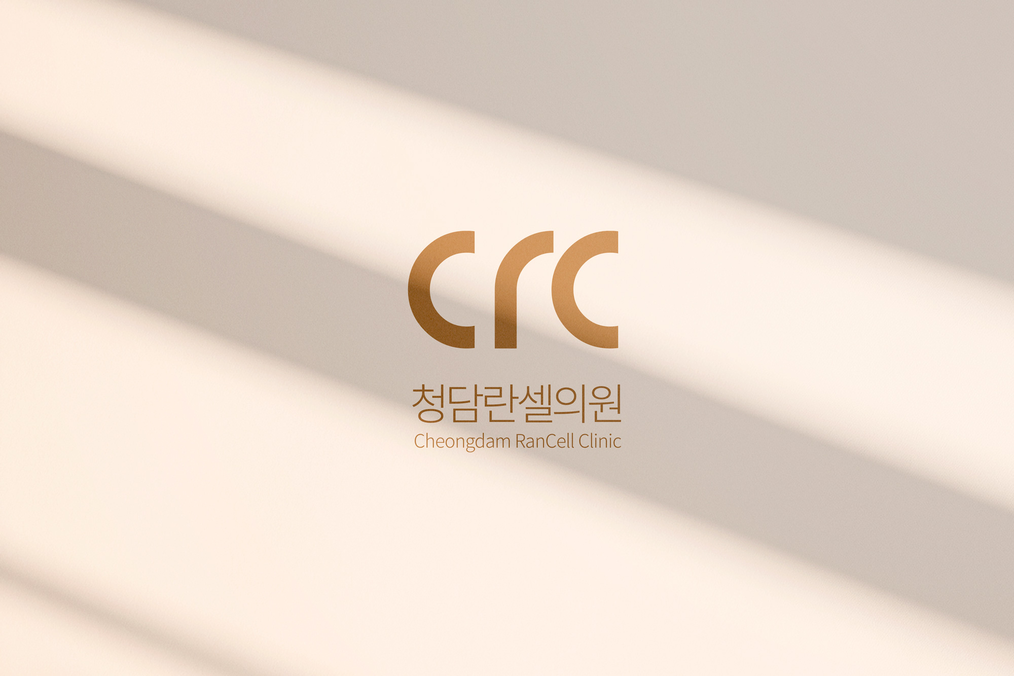 CG∙애니메이션, 로고디자인 전문가 ClipedDesign - 크몽