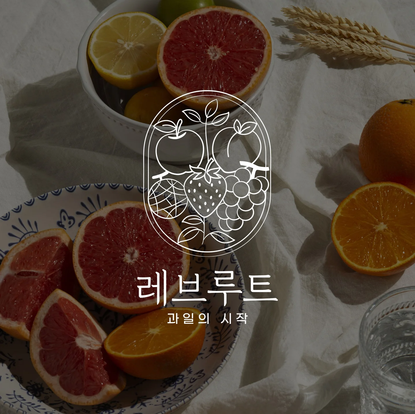 포트폴리오 메인이미지