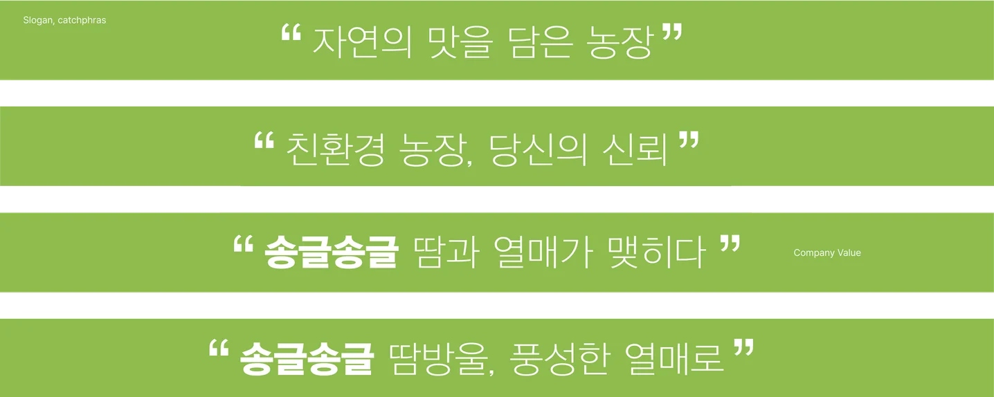 디자인 포트폴리오