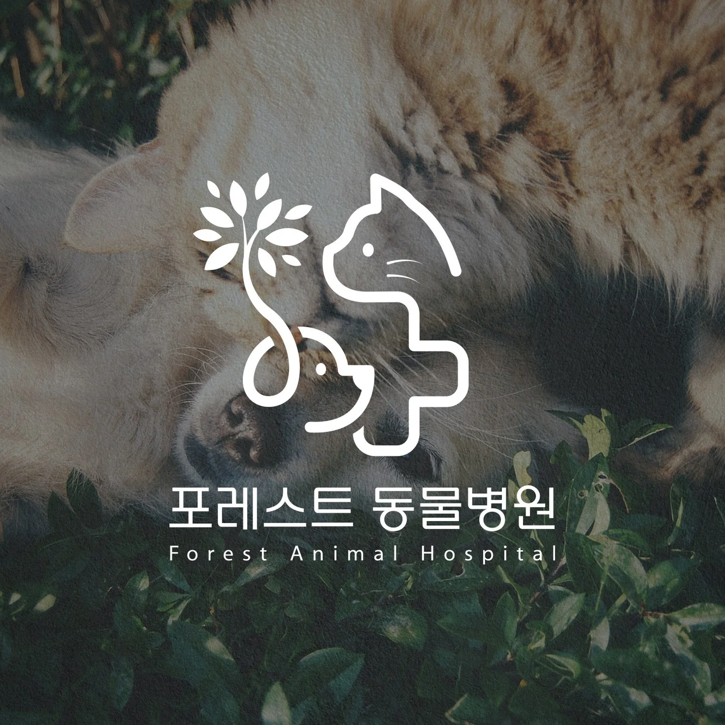 포트폴리오 메인이미지