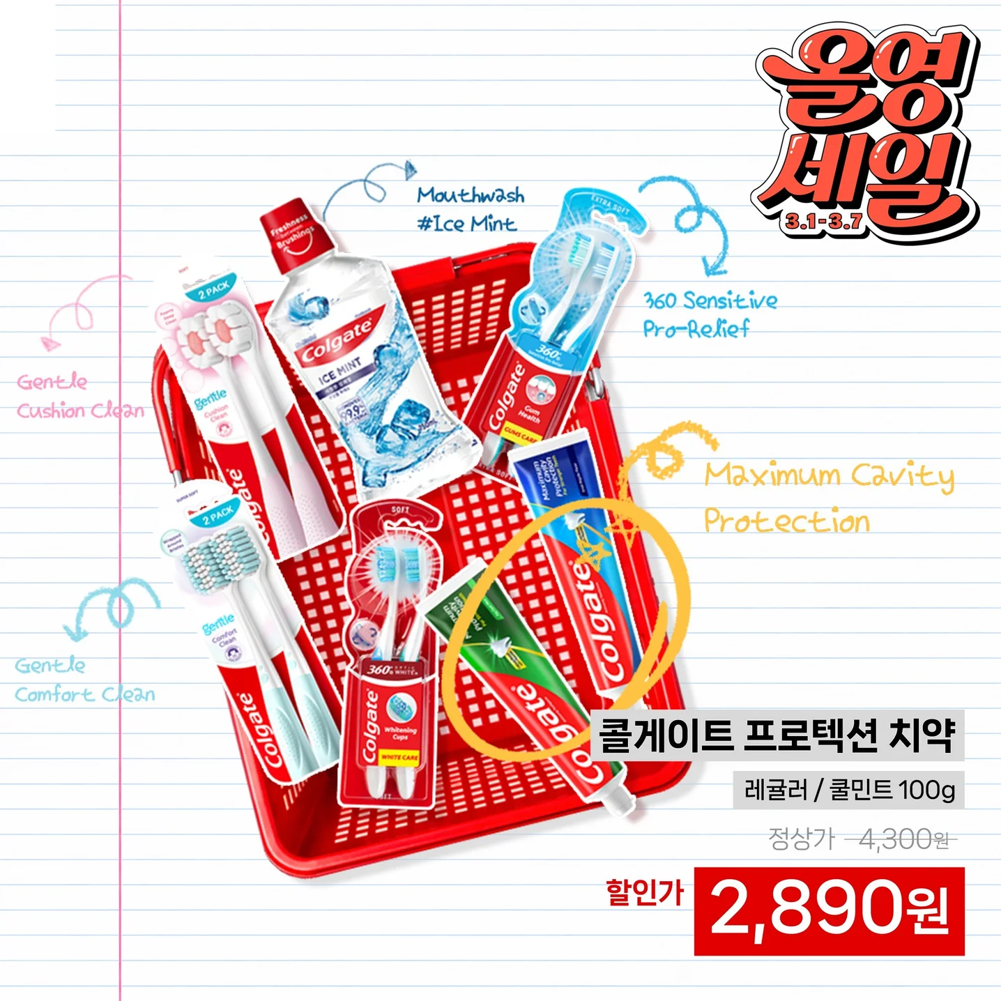 포트폴리오 메인이미지