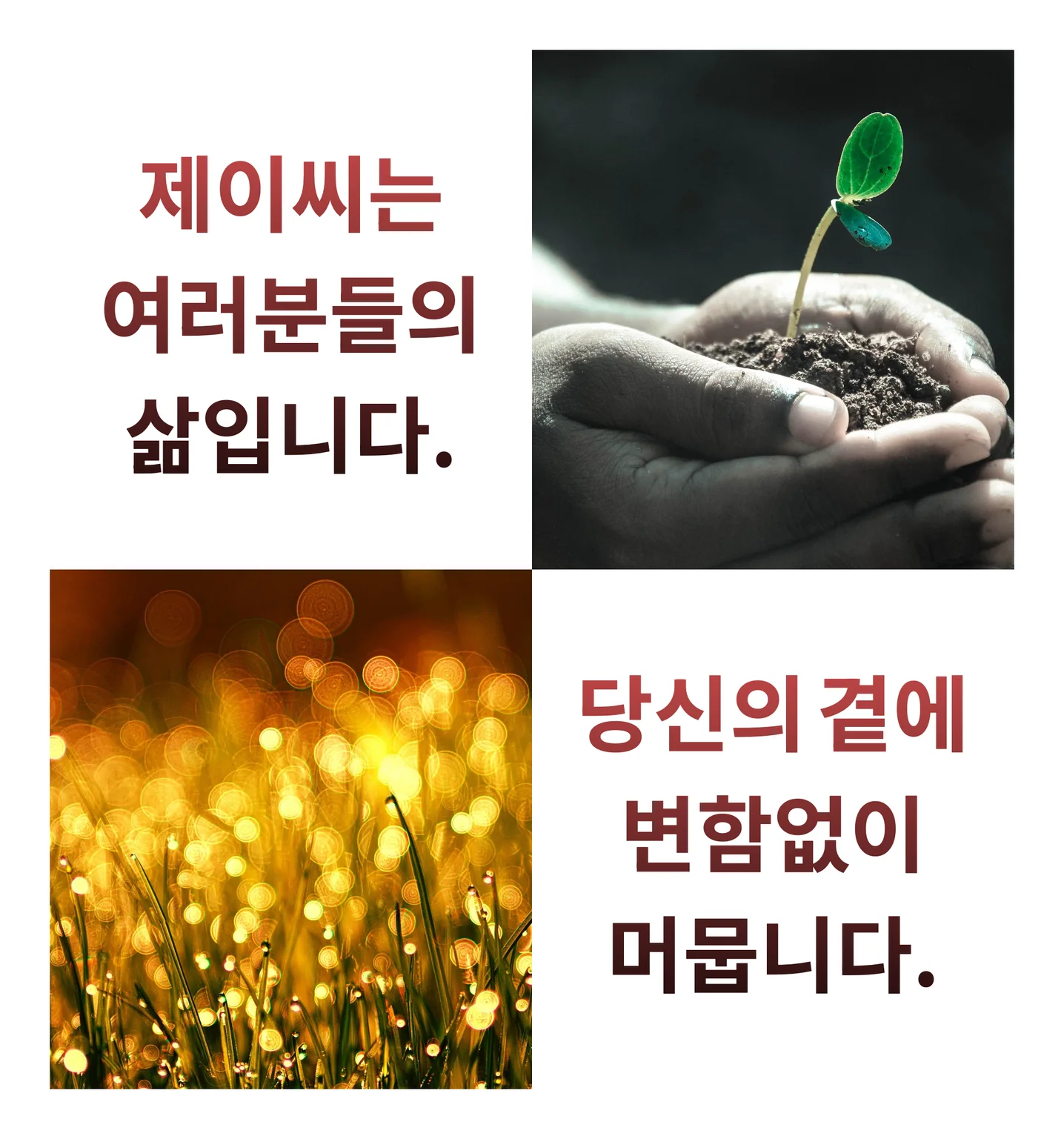 디자인 포트폴리오