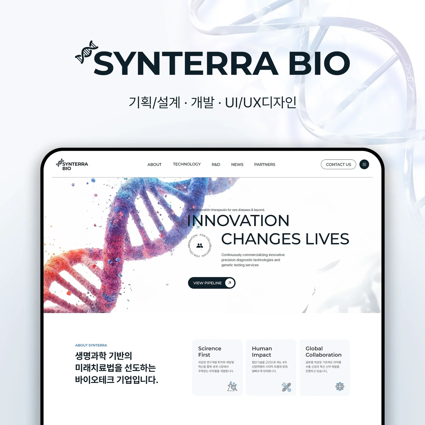 포트폴리오 메인이미지