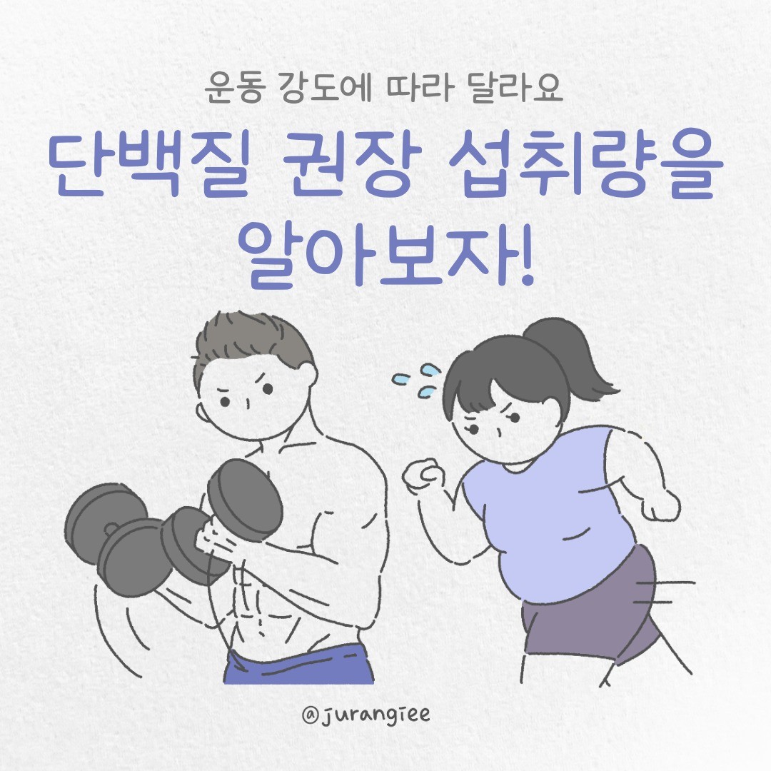 포트폴리오-운동, 스포츠 단백질 권장 섭취량 웹툰