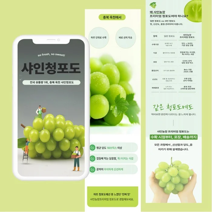 포트폴리오 메인이미지