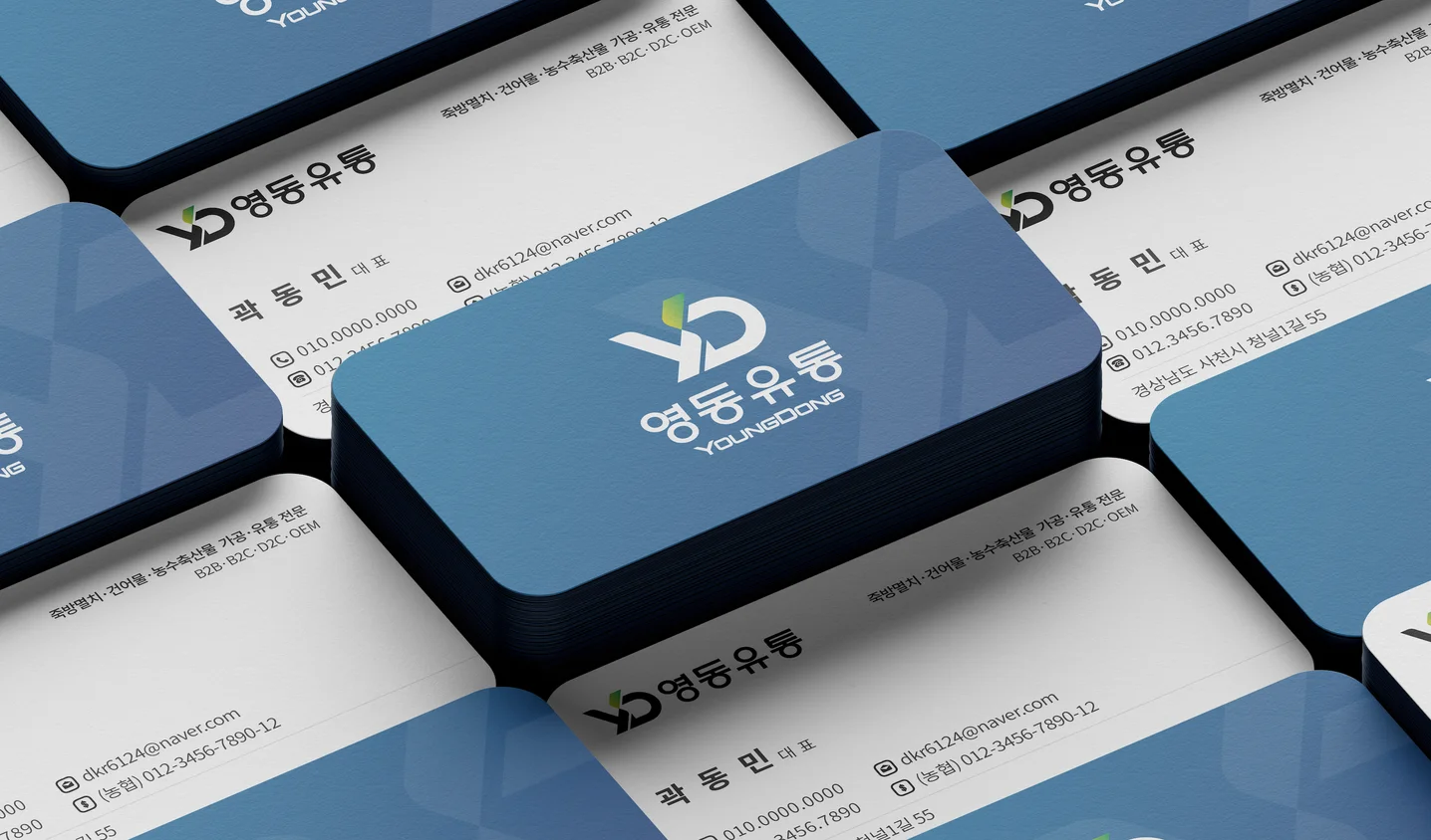 디자인 포트폴리오