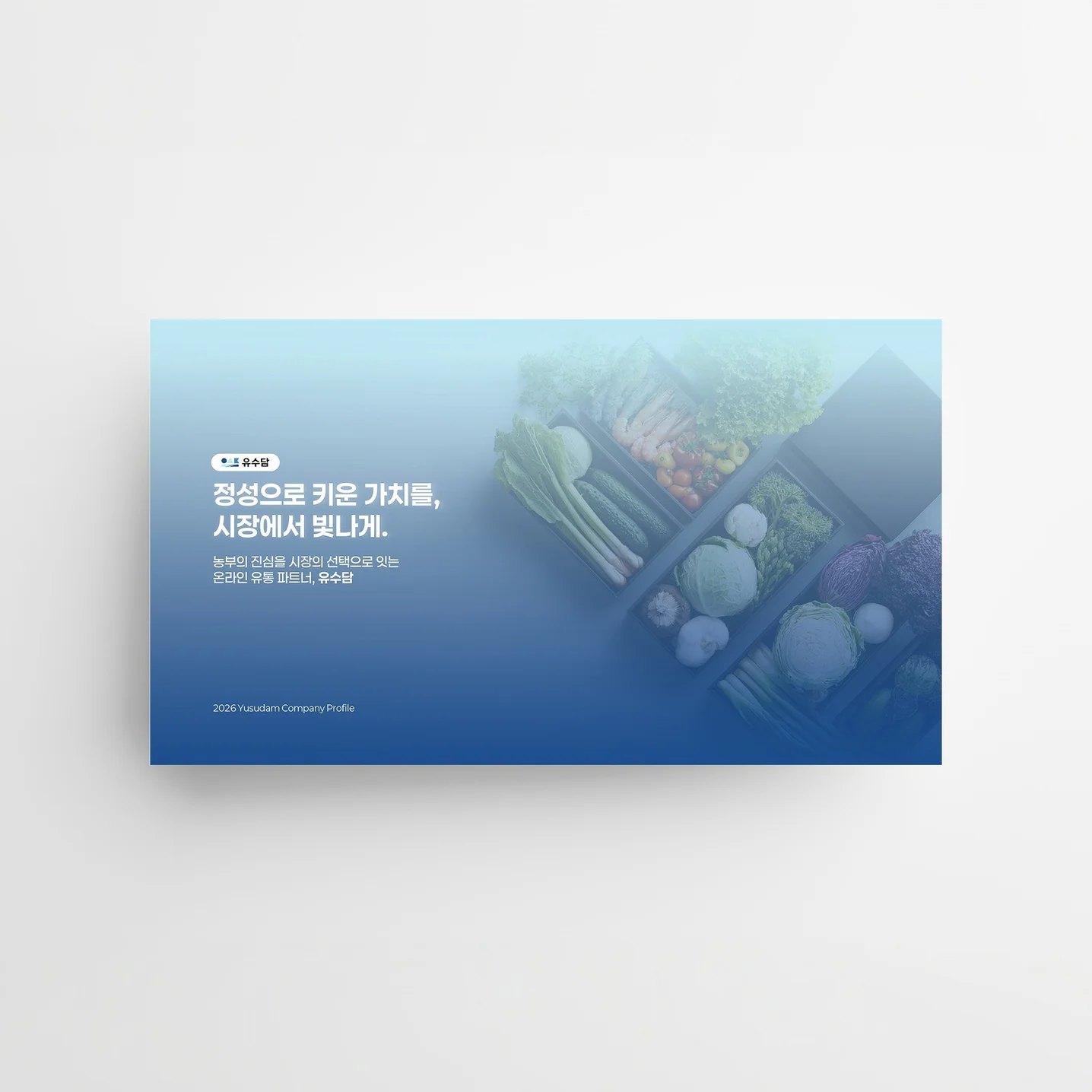 포트폴리오 메인이미지