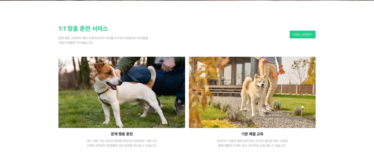 디자인 포트폴리오