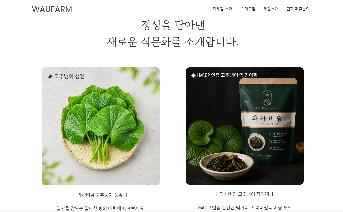 디자인 포트폴리오