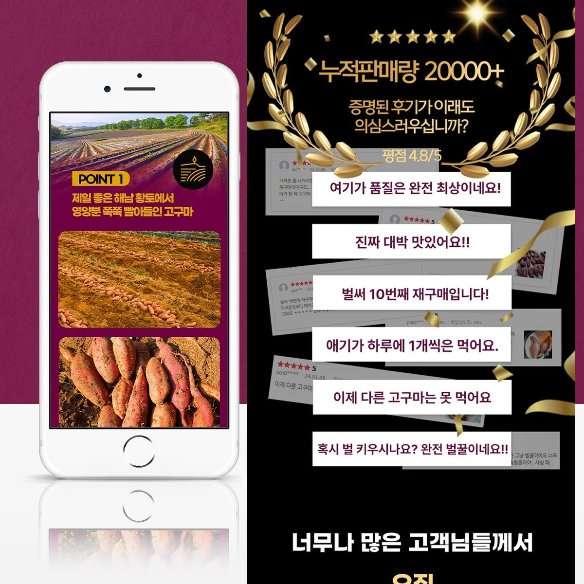 포트폴리오 메인이미지