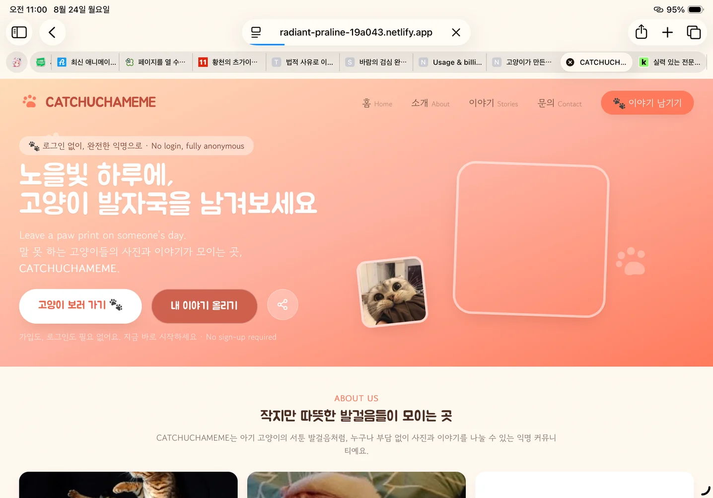 디자인 포트폴리오